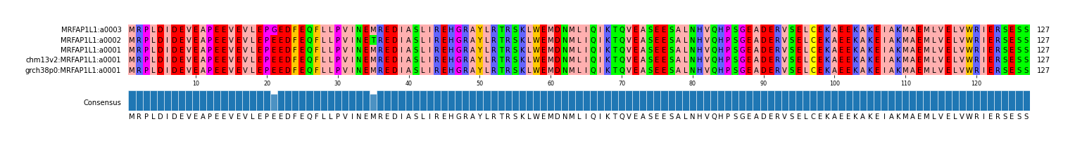 Multiple Alignments (by translate haplotype similarity)