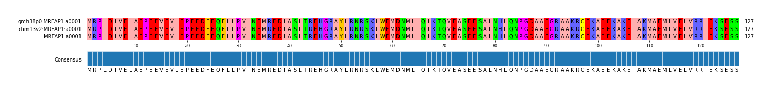 Multiple Alignments (by translate haplotype frequency)
