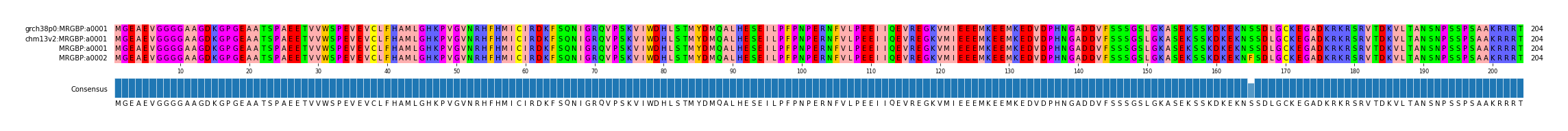 Multiple Alignments (by translate haplotype similarity)