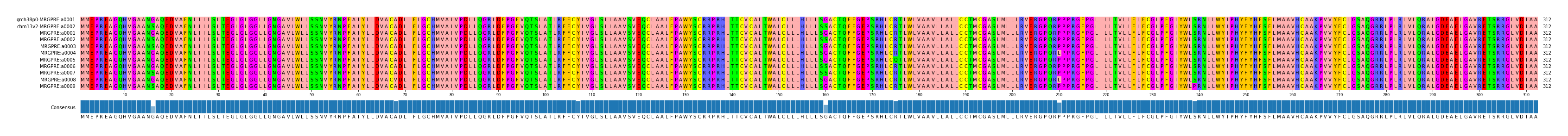 Multiple Alignments (by translate haplotype frequency)