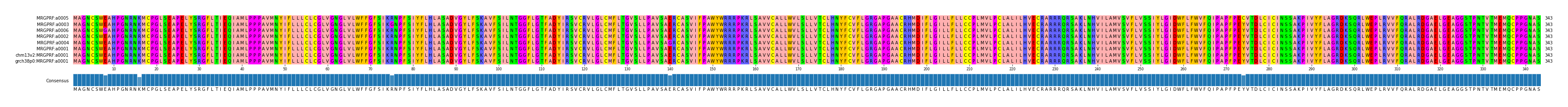 Multiple Alignments (by translate haplotype similarity)