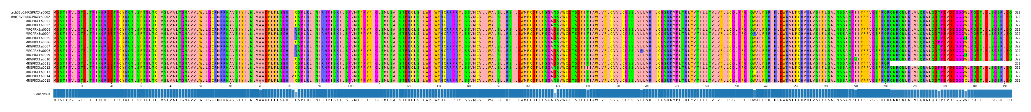 Multiple Alignments (by translate haplotype frequency)