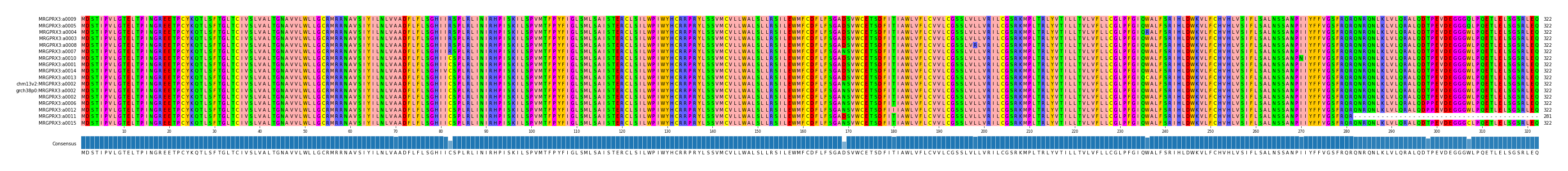 Multiple Alignments (by translate haplotype similarity)