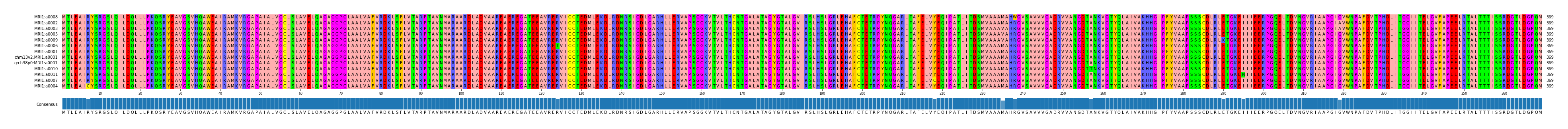 Multiple Alignments (by translate haplotype similarity)
