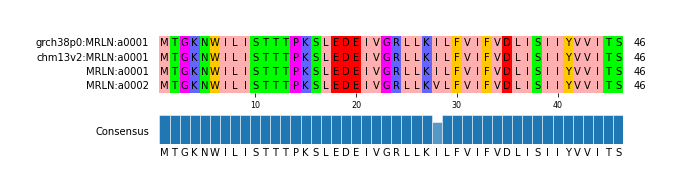 Multiple Alignments (by translate haplotype similarity)