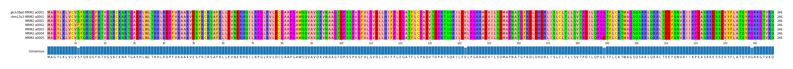 Multiple Alignments (by translate haplotype frequency)