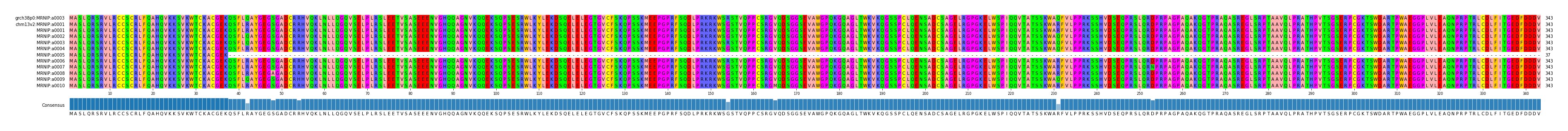 Multiple Alignments (by translate haplotype frequency)