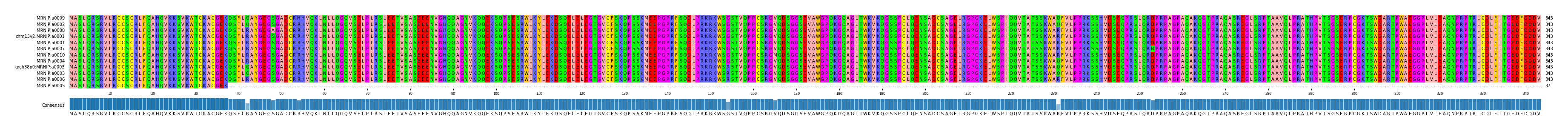 Multiple Alignments (by translate haplotype similarity)