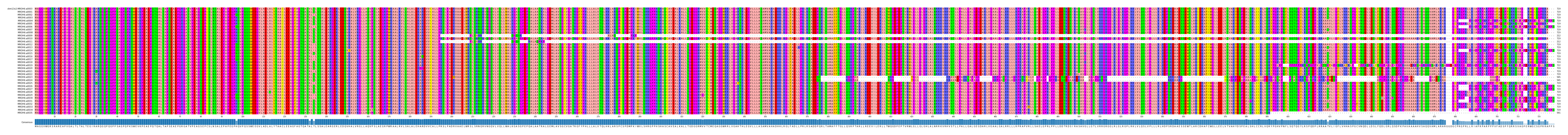 Multiple Alignments (by translate haplotype frequency)