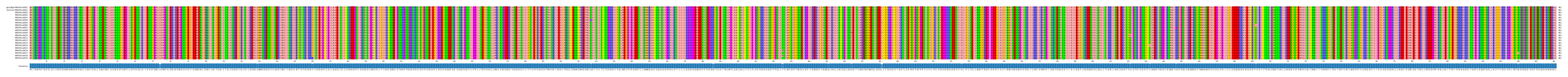 Multiple Alignments (by translate haplotype frequency)