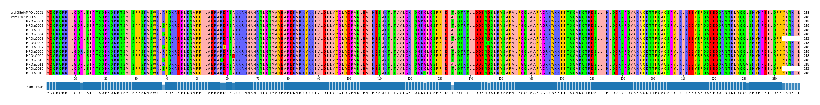 Multiple Alignments (by translate haplotype frequency)