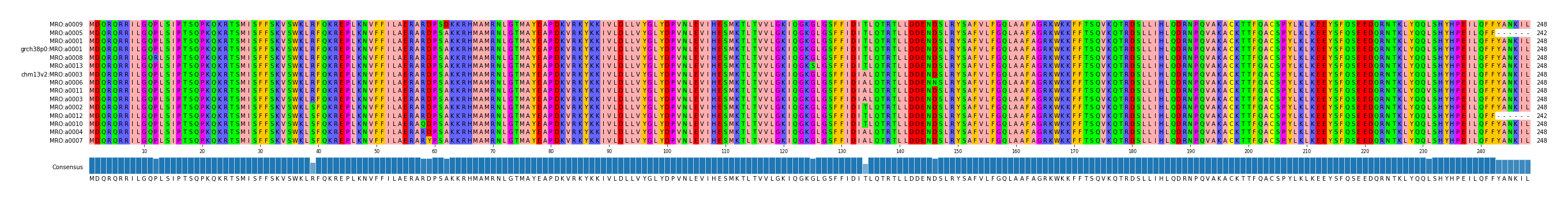 Multiple Alignments (by translate haplotype similarity)