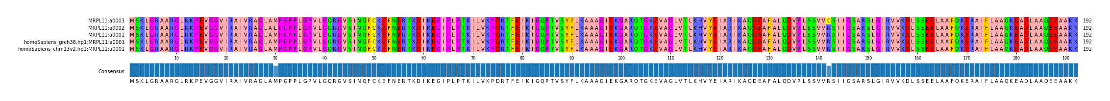 Multiple Alignments (by translate haplotype similarity)