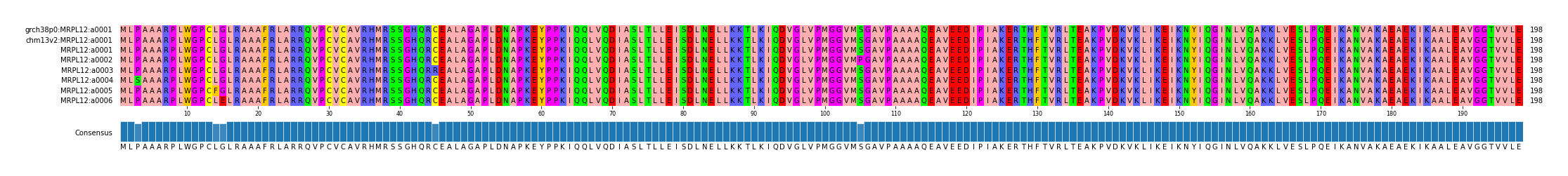 Multiple Alignments (by translate haplotype frequency)