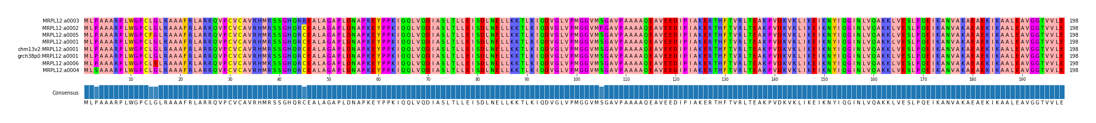 Multiple Alignments (by translate haplotype similarity)