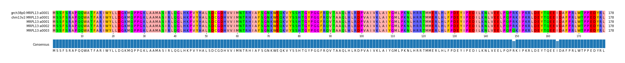 Multiple Alignments (by translate haplotype frequency)