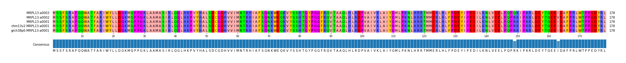 Multiple Alignments (by translate haplotype similarity)