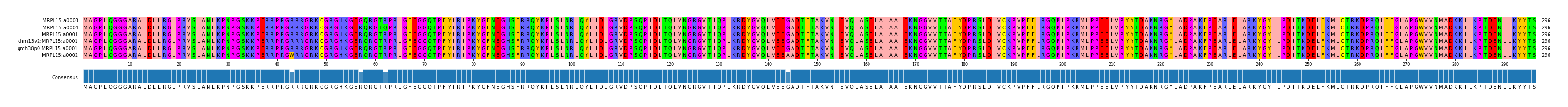 Multiple Alignments (by translate haplotype similarity)