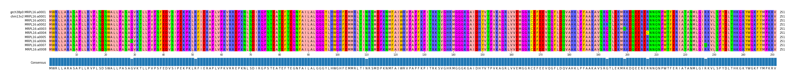 Multiple Alignments (by translate haplotype frequency)