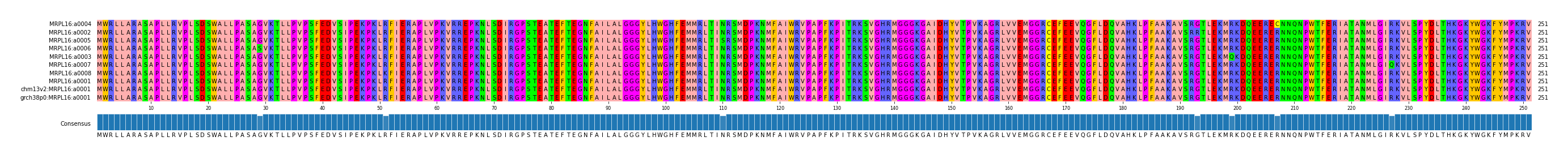 Multiple Alignments (by translate haplotype similarity)