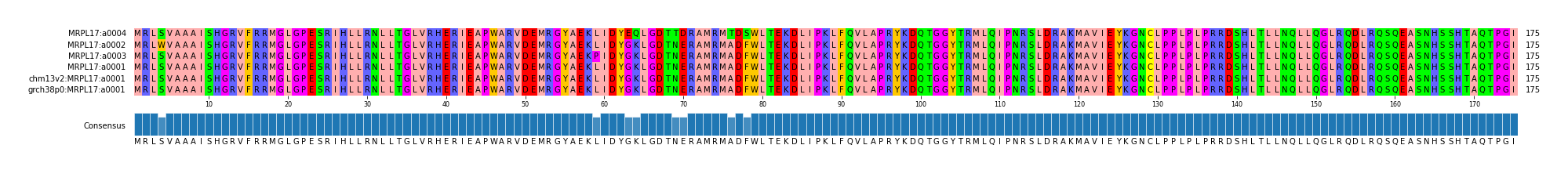Multiple Alignments (by translate haplotype similarity)