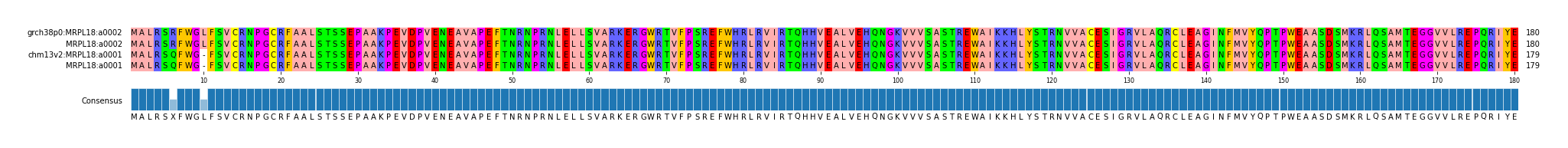 Multiple Alignments (by translate haplotype similarity)