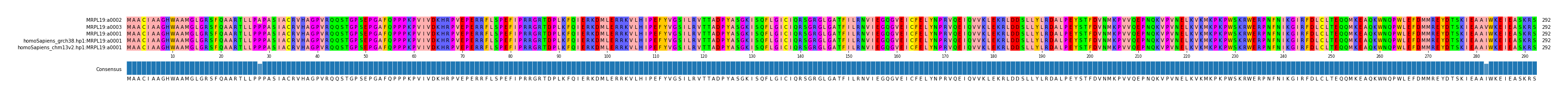 Multiple Alignments (by translate haplotype similarity)