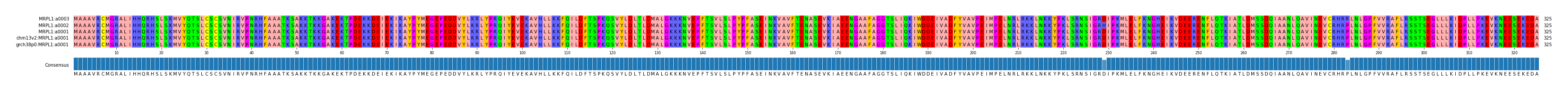 Multiple Alignments (by translate haplotype similarity)