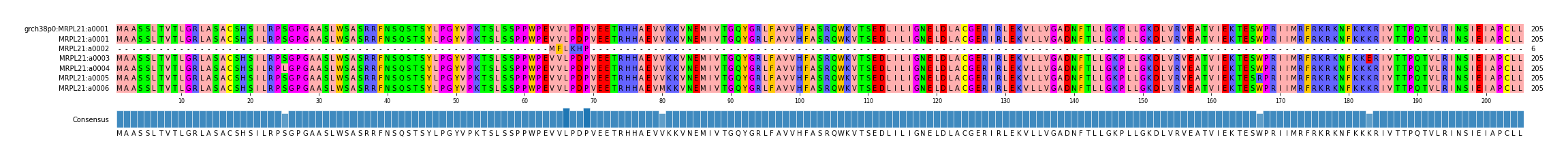 Multiple Alignments (by translate haplotype frequency)