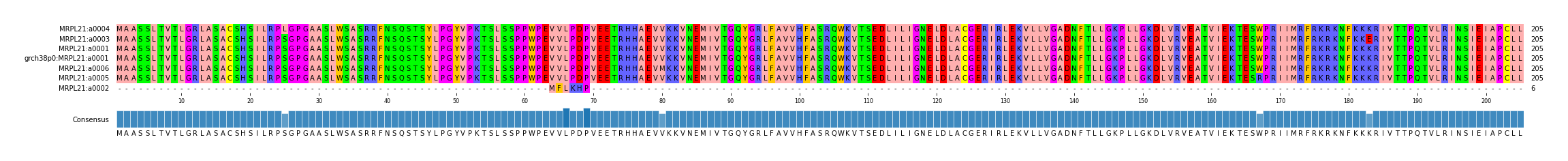 Multiple Alignments (by translate haplotype similarity)