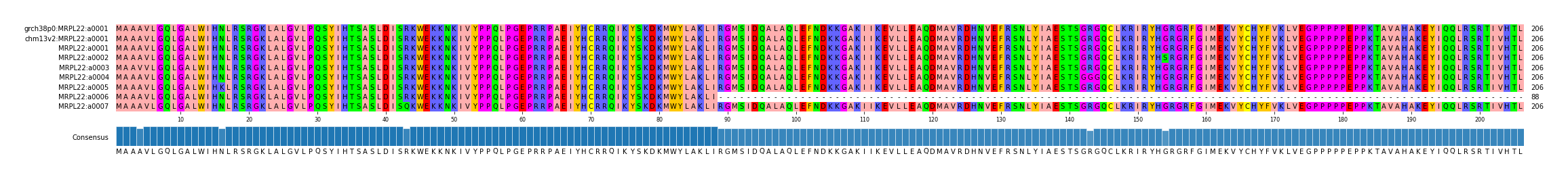 Multiple Alignments (by translate haplotype frequency)