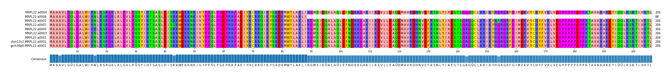 Multiple Alignments (by translate haplotype similarity)