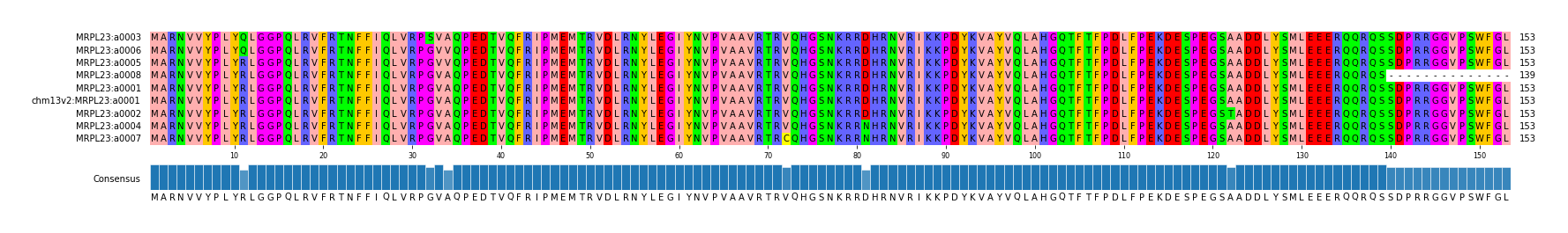 Multiple Alignments (by translate haplotype similarity)