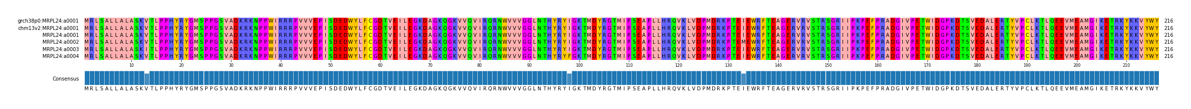 Multiple Alignments (by translate haplotype frequency)