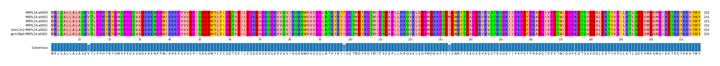 Multiple Alignments (by translate haplotype similarity)