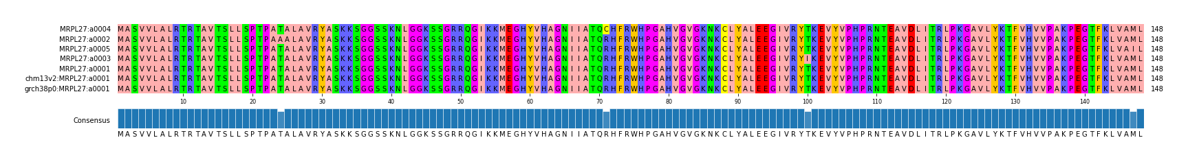 Multiple Alignments (by translate haplotype similarity)