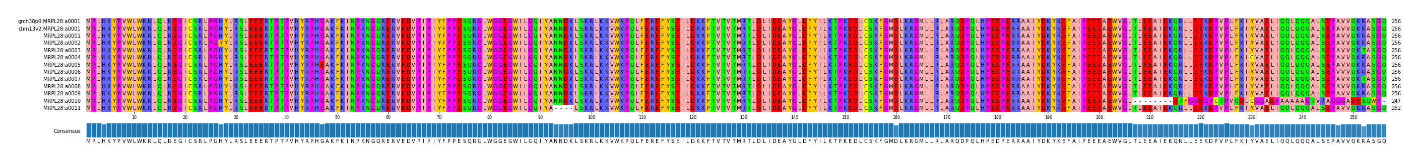 Multiple Alignments (by translate haplotype frequency)