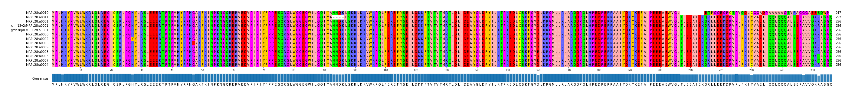 Multiple Alignments (by translate haplotype similarity)
