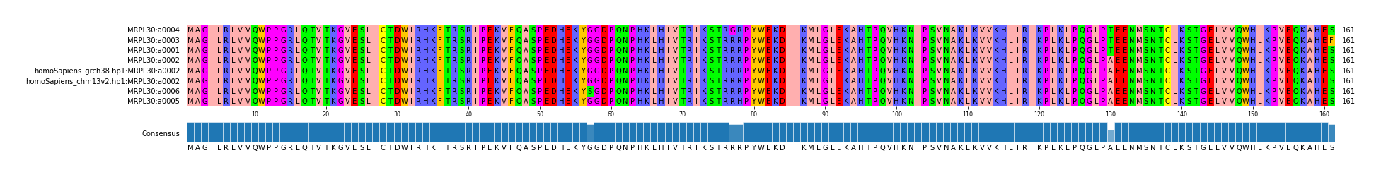 Multiple Alignments (by translate haplotype similarity)