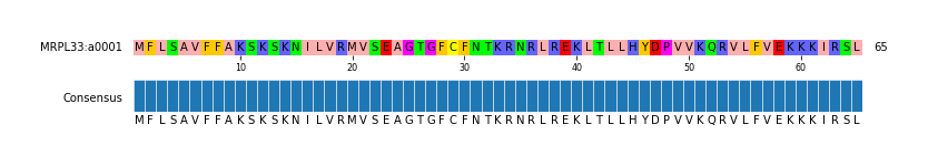 Multiple Alignments (by translate haplotype similarity)