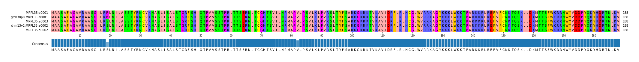 Multiple Alignments (by translate haplotype similarity)