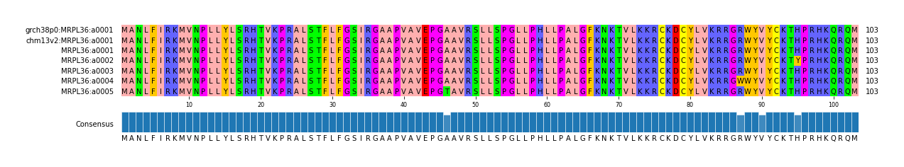 Multiple Alignments (by translate haplotype frequency)