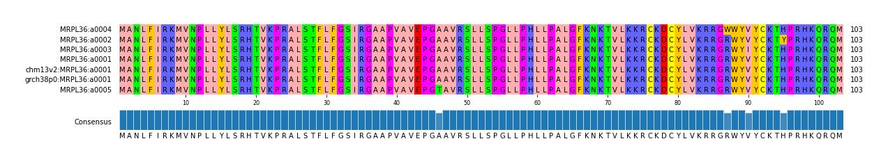 Multiple Alignments (by translate haplotype similarity)