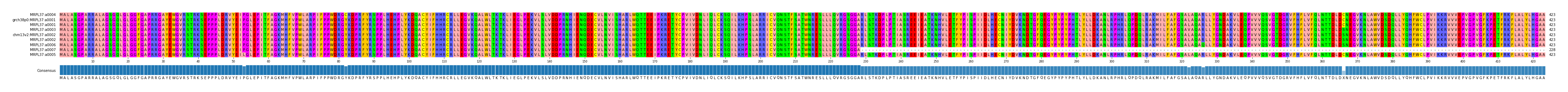 Multiple Alignments (by translate haplotype similarity)