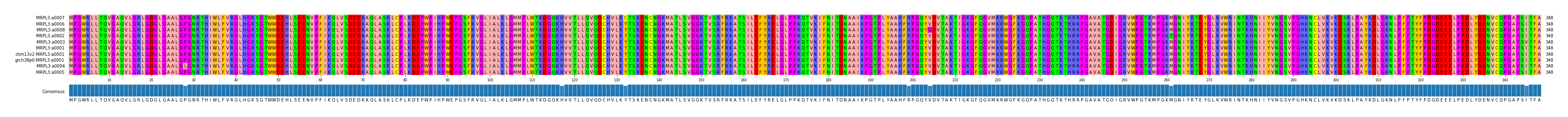 Multiple Alignments (by translate haplotype similarity)