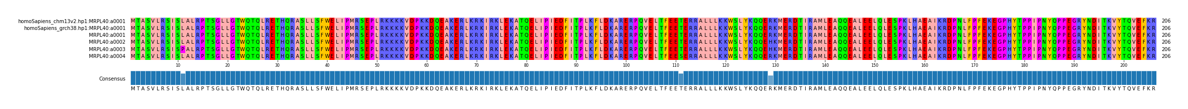 Multiple Alignments (by translate haplotype frequency)