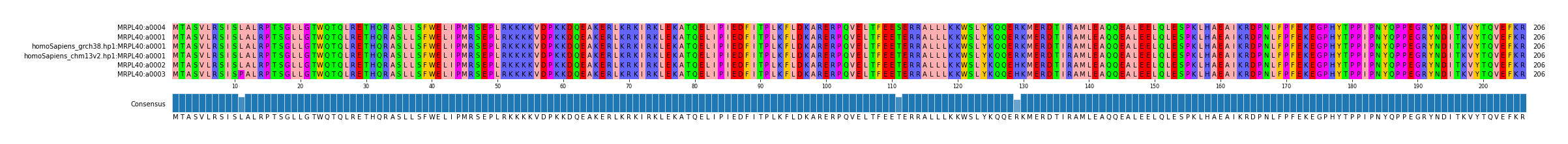 Multiple Alignments (by translate haplotype similarity)