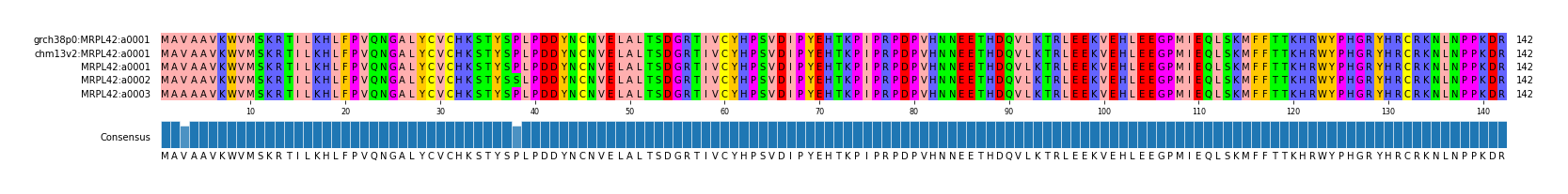 Multiple Alignments (by translate haplotype frequency)