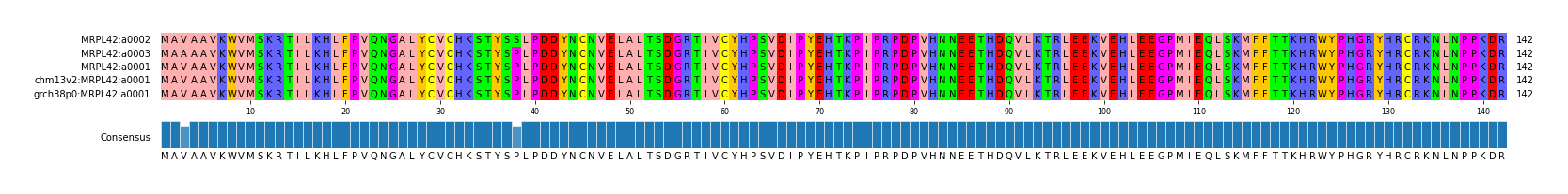 Multiple Alignments (by translate haplotype similarity)