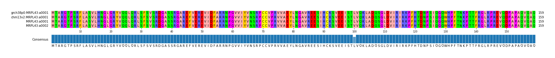 Multiple Alignments (by translate haplotype similarity)